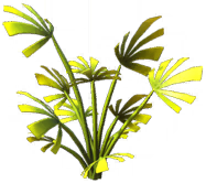 Wild Tangle Plant.png