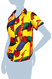 File:Colorful Giraffe Shirt.png