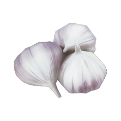 File:Garlic.png