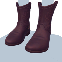 Dark Brown Cowboy Boots.png