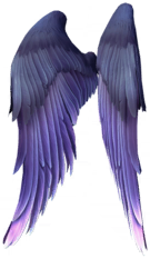 Raven Wings.png