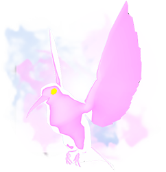Pink Whimsical Sunbird.png