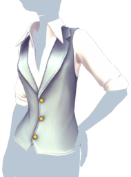 File:Gray Button-Up Vest.png