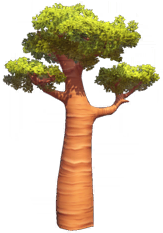 File:Wide Baobab Tree.png