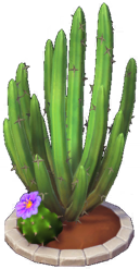 File:Yellow and Purple Cactus Grove.png