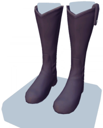 Black Knee-High Boots.png