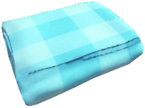 File:Forgotten Blanket.png