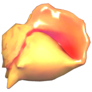 File:Conch Shell.png