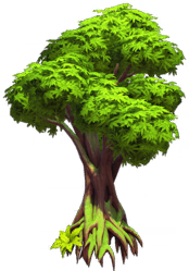 File:Large Mossy Jungle Tree.png