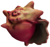 File:Conch.png