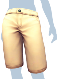 Tan Chino Shorts (2).png