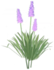 Butterfly Flower.png