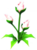 Pink Luminescent Flower.png