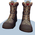 Snow Boots.png