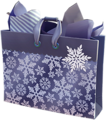 Fancy Snowflake Gift Bag.png