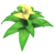 Yellow Bromeliad.png
