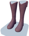 Brown Knee-High Boots.png