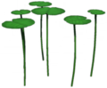 Lily Pads.png