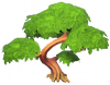 Small Green Tree.png