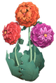 Bass Marigolds.png