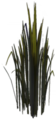 Tall Glade of Trust Reeds.png