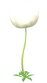Cottonsedge Flower.png