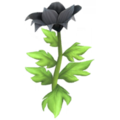 Black Passion Lily.png