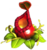 Red Pitcher Plant.png