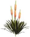Glade of Trust Cattails.png