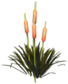 Glade of Trust Cattails.png