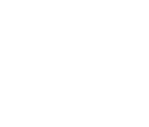Cinderella Slipper Emblem.png