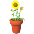 Sunflower and Daisy Pot.png