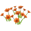 Orange Nasturtium.png