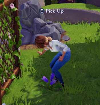 Foraging Screenshot.png