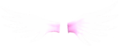 Small Pink Wings.png