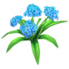 Blue Hydrangea.png