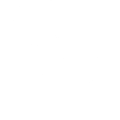 Seashell Motif.png