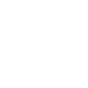 Seashell Motif.png