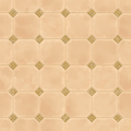 Warm Rustic Tile Flooring.png