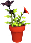 Red and Black Passion Lily Pot.png