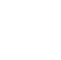 Pirate Emblem Motif.png