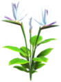 White Bird of Paradise.png