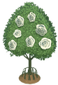 White Rose Spade Tree.png