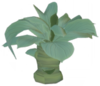 Glade of Trust Syngonium.png