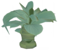 Glade of Trust Syngonium.png
