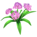 Pink Hydrangea.png