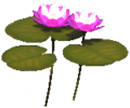 Double Water Lily.png