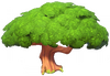 Large Green Tree.png