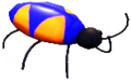 Colorful Bug.png