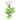 White Passion Lily.png